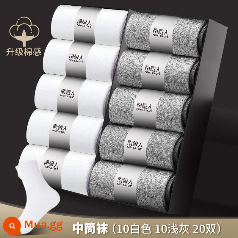 Vớ Nanjiren nam ống giữa cotton nguyên chất khử mùi thấm hút mồ hôi dày ngắn mùa thu đông vớ nam công sở màu đen - 10 Trắng 10 Ánh Sáng [20 Cặp]