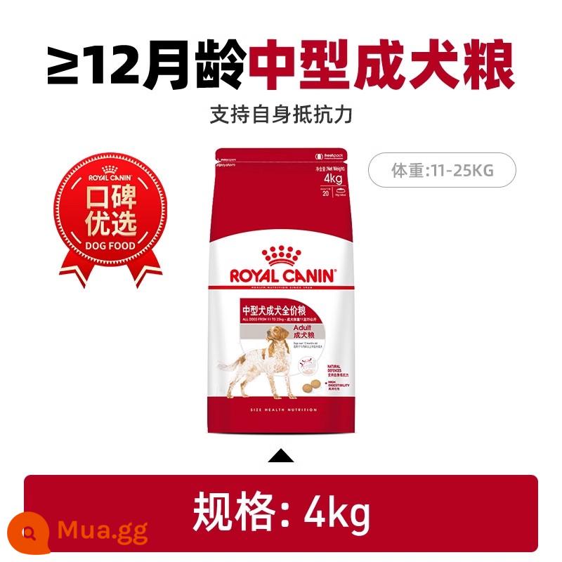 Royal Canin Thức Ăn Cho Chó Trưởng Thành M25/GR26 Chó Vừa Và Lớn Golden Retriever Chăn Cừu Đức Tướng Thức Ăn Cho Chó Cửa Hàng Hàng Đầu chính Thức Chính Hãng - Thức ăn cho chó trưởng thành cỡ vừa M25/4kg (>12 tháng).