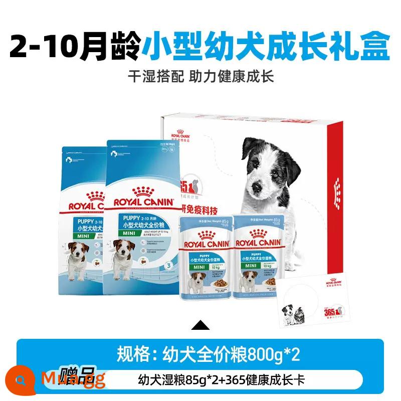 Thức Ăn Hoàng Gia Cho Chó Nhỏ Thức Ăn Cho Chó Con Bánh Sữa Thức Ăn Cho Chó Teddy Bichon Fudge Pomeranian Đa Năng Chính Hãng - [Hộp quà cần có cho người mới] Thức ăn cho chó con nhỏ 800g*2 thức ăn ướt miễn phí 2 gói 2-10 tháng tuổi