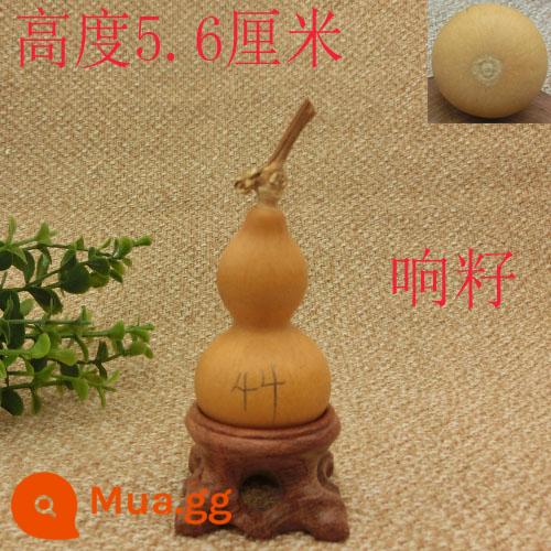 5-7 cm Home Trang trí Tay xoắn của bầu nhỏ để chơi văn bản và chơi rồng đầu màu xanh lá cây tự nhiên - Màu vàng chanh