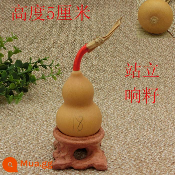 5-7 cm Home Trang trí Tay xoắn của bầu nhỏ để chơi văn bản và chơi rồng đầu màu xanh lá cây tự nhiên - 18