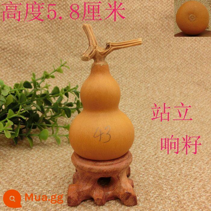 5-7 cm Home Trang trí Tay xoắn của bầu nhỏ để chơi văn bản và chơi rồng đầu màu xanh lá cây tự nhiên - quả mơ