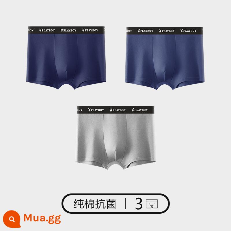 Playboy Quần Lót Nam Nam Cotton Nguyên Chất Kháng Khuẩn 100% Cotton Thu Đông Bé Trai Boxer Vuông Quần Short Đầu Mùa Đông - 3 gói [cotton kháng khuẩn] xanh navy + xanh đậm + xám hoa nhạt