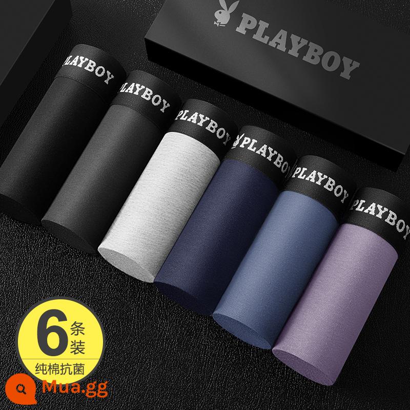 Playboy Quần Lót Nam Nam Cotton Nguyên Chất Kháng Khuẩn 100% Cotton Thu Đông Bé Trai Boxer Vuông Quần Short Đầu Mùa Đông - [Mua 1 tặng 1] Màu hỗn hợp 6 Sự kết hợp [119 Yuan sẽ được khôi phục vào ngày mai]