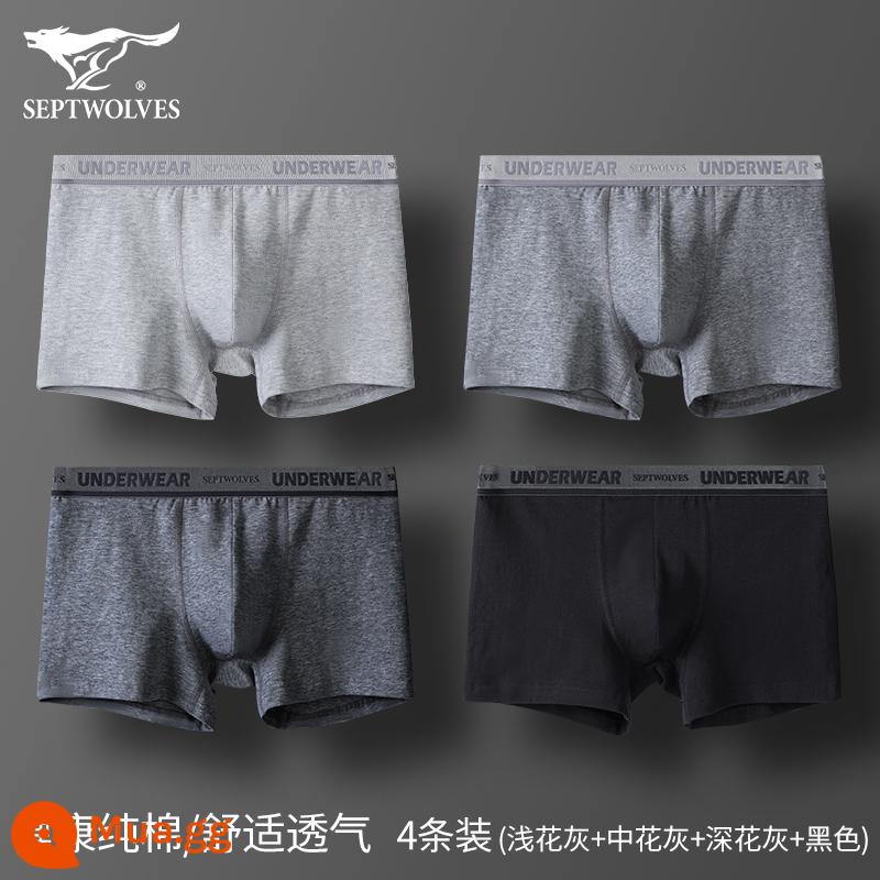 Septwolves Quần Lót Nam Cotton Boxer Quần Short Bé Trai Size Lớn Kháng Khuẩn Thoáng Khí Quần Short Bé Trai Đầu Boxer - Cotton co giãn loại D (đen + xám hoa đậm t xám hoa vừa + xám hoa nhạt) 4 hộp quà