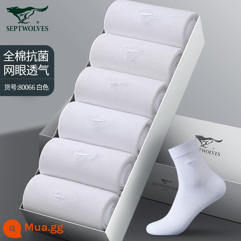 Vớ Septwolves nam ống giữa cotton nguyên chất khử mùi thấm mồ hôi thoáng khí thu đông kháng khuẩn vớ cotton vớ mỏng cho nam - Lưới thoáng khí (ống giữa cotton, kháng khuẩn và khử mùi) 80066 toàn màu trắng