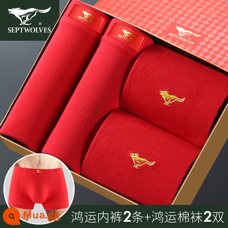 Septwolves quần lót màu đỏ nam năm hoàng đạo cotton nguyên chất quần lót boxer bé trai cotton size lớn quần lót boxer thuộc về thỏ - 100% cotton Hongyun: 97110-4S (2 quần lót + 2 tất)