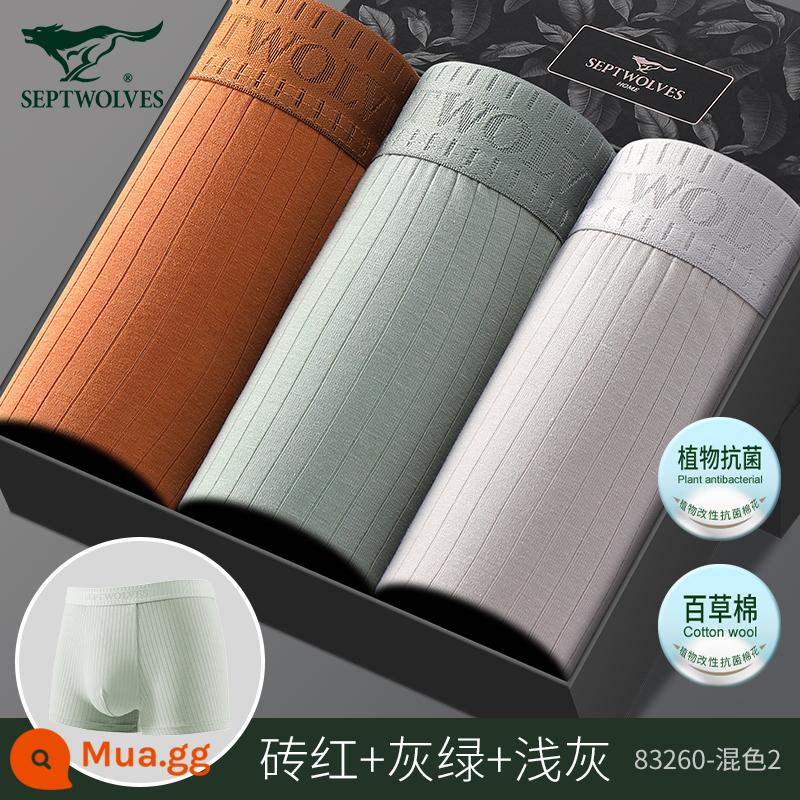 Septwolves Quần Lót Nam Cotton Nguyên Chất Quần Boxer An Toàn Quần Short Size Lớn Quần Boxer Bé Trai 100% Cotton Đầu Phong Cách Nam - (Bông Baicao Kháng Khuẩn) 83260 Mix 2 (3 Hộp Quà)