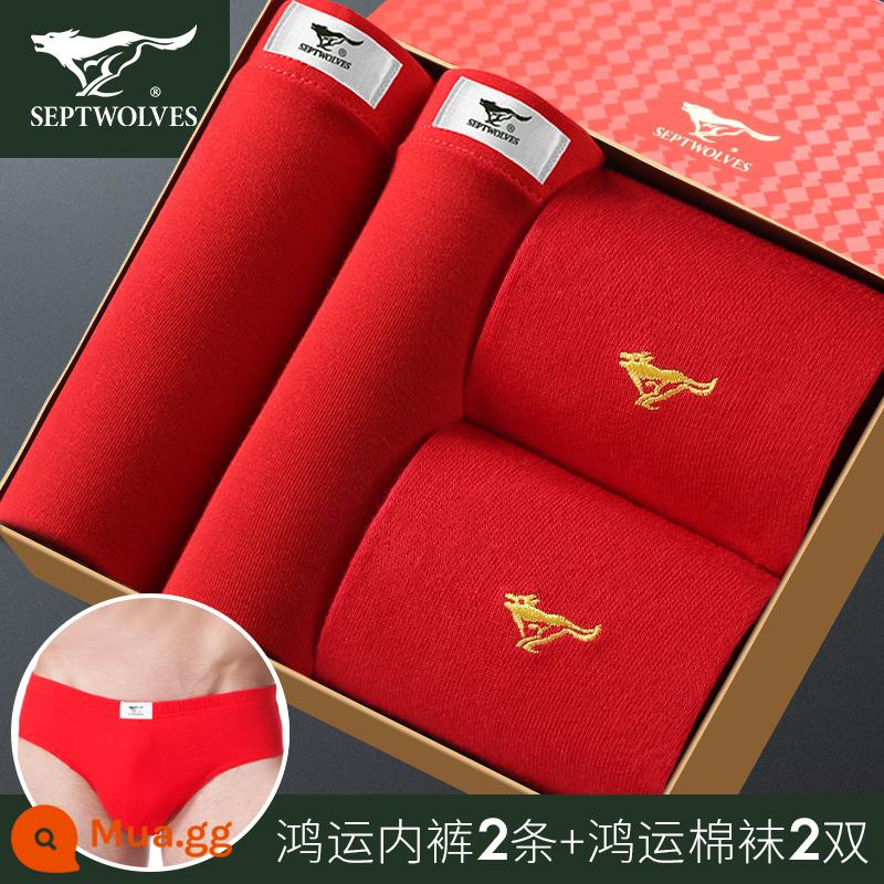 Septwolves quần lót màu đỏ nam năm hoàng đạo cotton nguyên chất quần lót boxer bé trai cotton size lớn quần lót boxer thuộc về thỏ - Tam giác may mắn cotton nguyên chất: 95058-4S (2 quần lót + 2 tất)