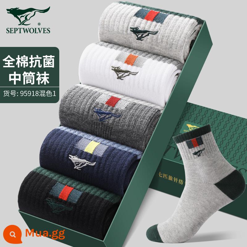 Tất Septwolves nam cotton nguyên chất xuân hè hút mồ hôi khử mùi 100% cotton nam ống giữa tất mùa đông tất nam - [100% cotton nguyên chất kiểu dày mùa thu đông] đen 1 xám hoa vừa 1 xanh nước biển 1 xám hoa nhạt 1 trắng 1