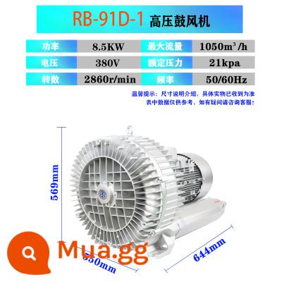 [Bán hàng trực tiếp của nhà máy] Full Wind RB Cao -Pressure Drum Fun 220V Tua bin công nghiệp nhỏ Bispotirus Pump - Dòng RB-91D (8,5kw-18,5kw) 8,5kw-18,5kw