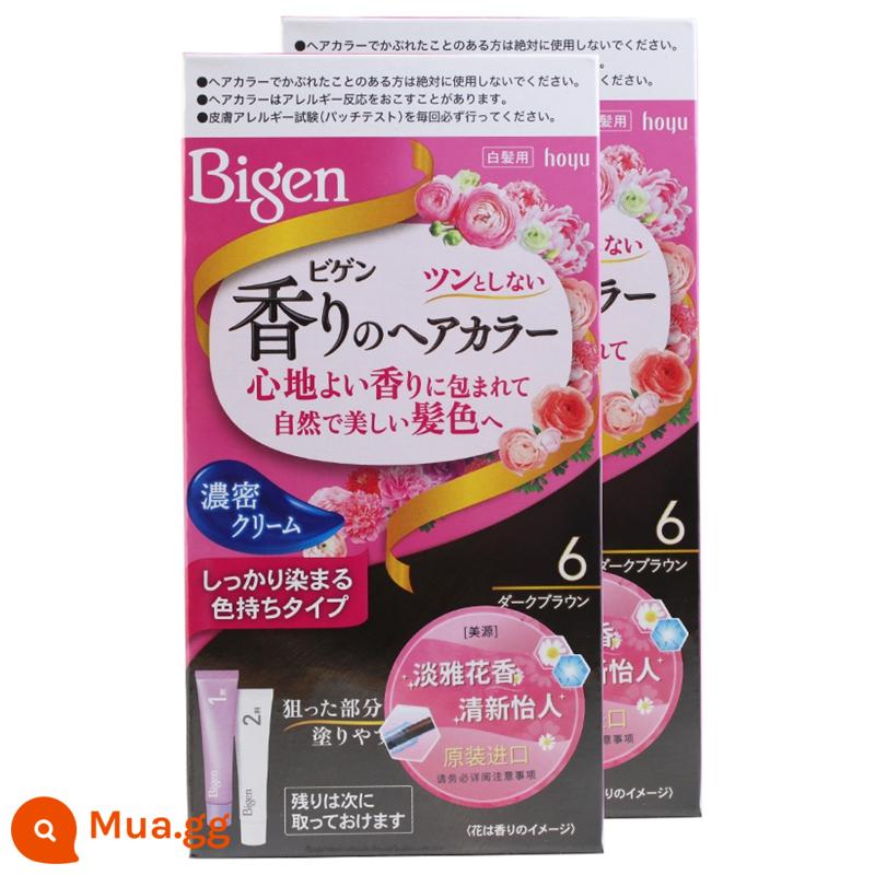 Nhập khẩu chính hãng Bigen Meiyuan của Nhật Bản thuốc nhuộm tóc có hương thơm hoa và trái cây có vỏ màu trắng kem nhuộm tóc một chiếc lược màu đen - Số 6 Nâu Đậm [2 Hộp] Bao Bì Mới
