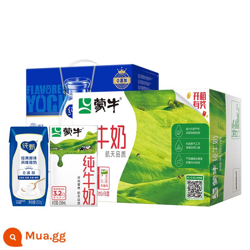 Sữa nguyên chất Mengniu PURE MILK 250mL*24 hộp*2 hộp cửa hàng flagship chính thức - Sữa nguyên chất Mengniu 250ml*16 hộp + Sữa chua Chunzhen hương vị nguyên chất 200*10 hộp