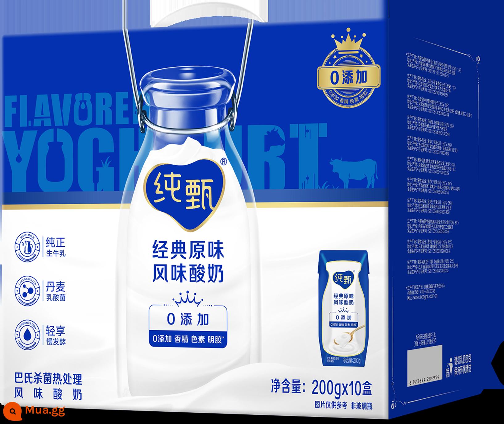 [Khuyến nghị] Date Fresh Mengniu Pure Milk/Xinyangdao/Sữa ăn sáng/Zhenguo Li/Future Star - Hương Vị Nguyên Chất Nguyên Chất 10 hộp