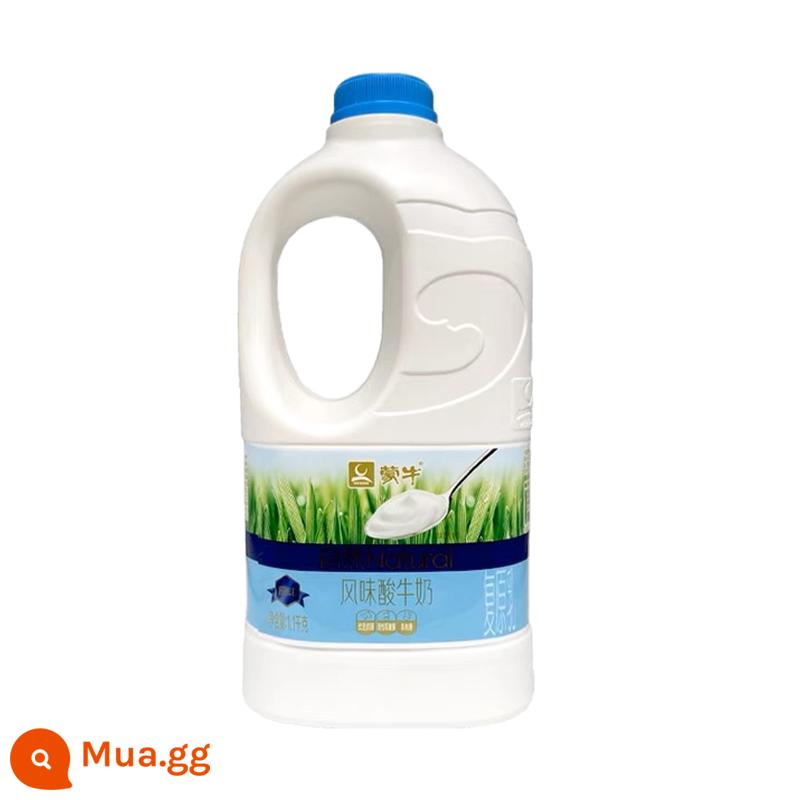 Sữa chua hương mengniu 1.1kg, sữa chua câu quả, sữa chua nguyên chất, sữa phục hồi tự nhiên thùng lớn, miễn phí vận chuyển - 1 thùng hương vị truyền thống (thùng carton + túi đá)