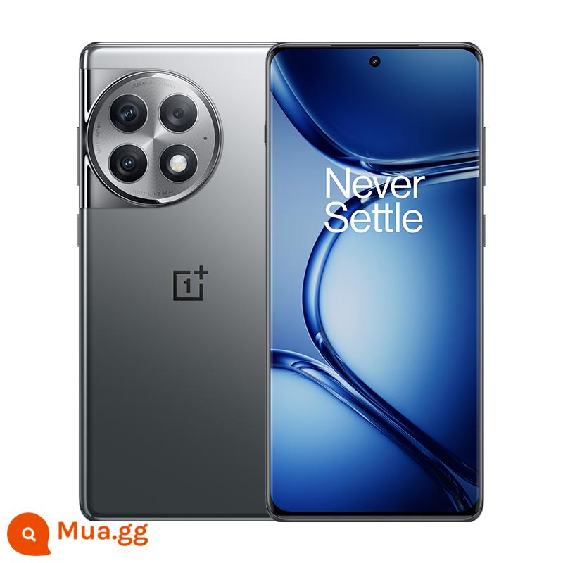 Điện thoại chơi game thông minh mới OnePlus/OnePlus Ace 2 Pro 16GB+512GB - Màu xám titan