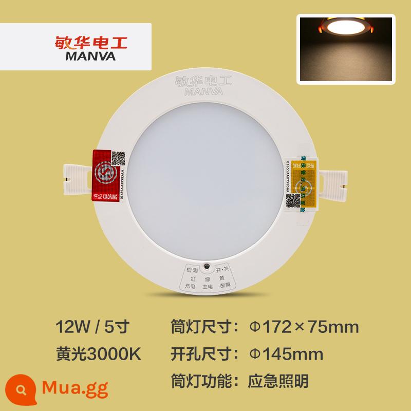 Đèn downlight khẩn cấp Minhua led nhúng khi mất điện chiếu sáng khẩn cấp tự động downlight 3 inch 4 inch LED downlight - Máy khoan 5 inch 12W đèn vàng 145mm