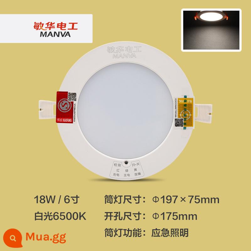 Đèn downlight khẩn cấp Minhua led nhúng khi mất điện chiếu sáng khẩn cấp tự động downlight 3 inch 4 inch LED downlight - 6 inch 18W khoan ánh sáng trắng 175mm