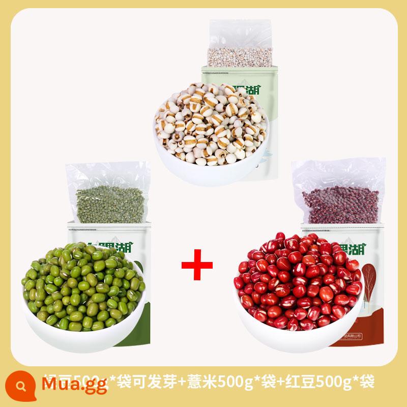 Mua 4 tặng 1 Đậu xanh Catty đóng gói chân không Jiuli Lake Fresh Farm Đậu xanh dạng hạt và dầu hạt đầy thịt và vỏ mỏng 500g - [Đóng gói chân không] Tổng cộng 3kg/đậu đỏ/đậu xanh/lúa mạch