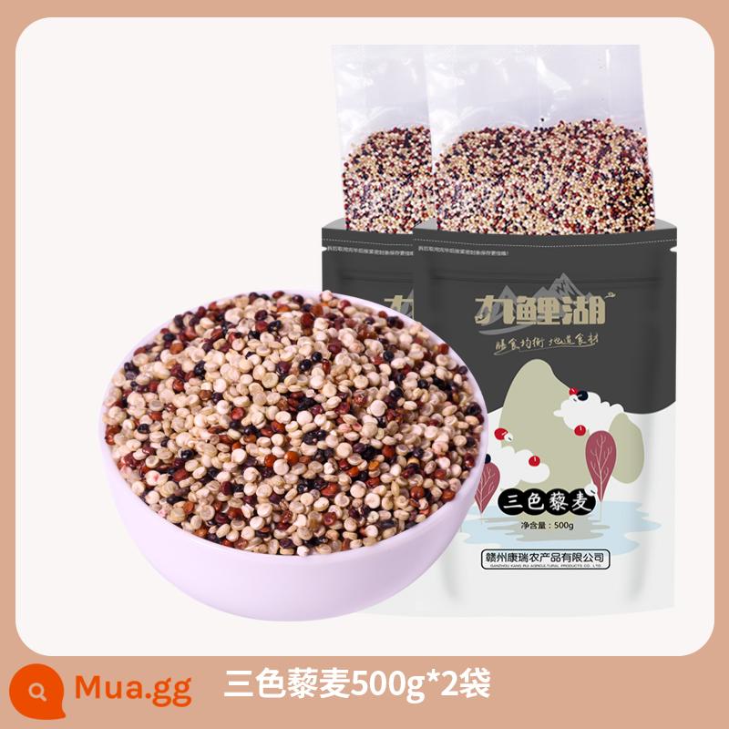 Mua 1 Tặng 1 1000g Quinoa Gạo Quinoa hỗn hợp ba màu Đỏ Trắng Đen Qinghai Limai Rice Five Grains Các loại ngũ cốc khác - [Gói Hương Vị] Quinoa Ba Màu Thanh Hải 500g*2 túi đóng gói chân không