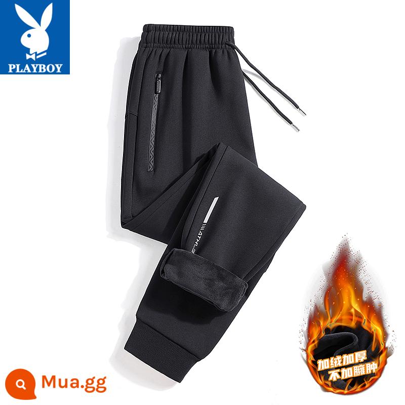 Quần Playboy nam xuân thu cotton nguyên chất thường ngày cỡ lớn quần legging thể thao 2023 quần thể thao rộng rãi và đa năng - Vòng chân màu đen [cộng với nhung]