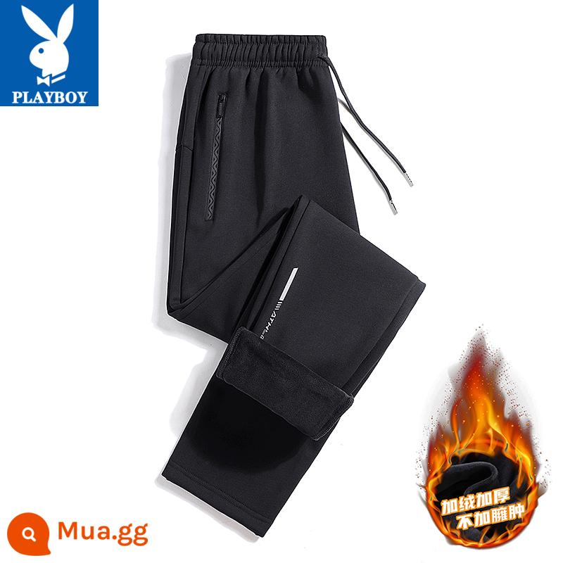 Quần Playboy nam xuân thu cotton nguyên chất thường ngày cỡ lớn quần legging thể thao 2023 quần thể thao rộng rãi và đa năng - Đen thẳng [cộng với nhung]