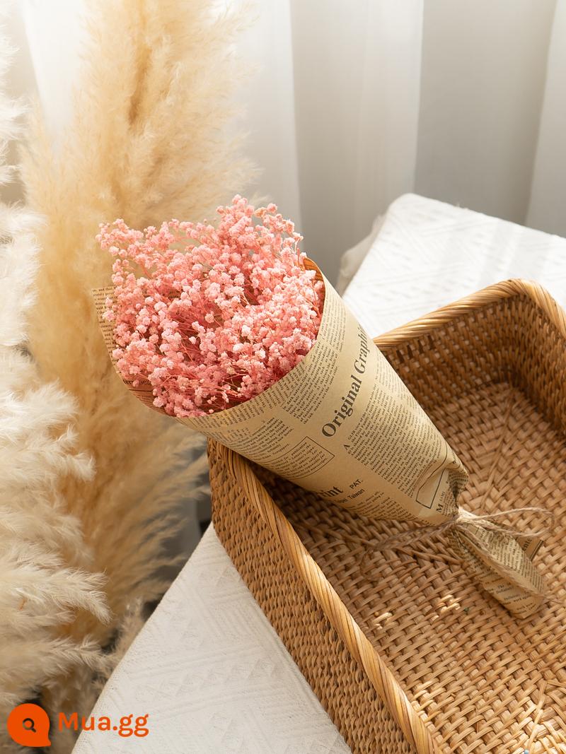 Bất Tử Gypsophila Hoa Khô Ins Lưới Đỏ Gypsophila Cho Bestie Bạn Gái Quà Tặng Sinh Nhật Trang Trí Nhà Cửa - Bó hoa hơi thở hồng baby