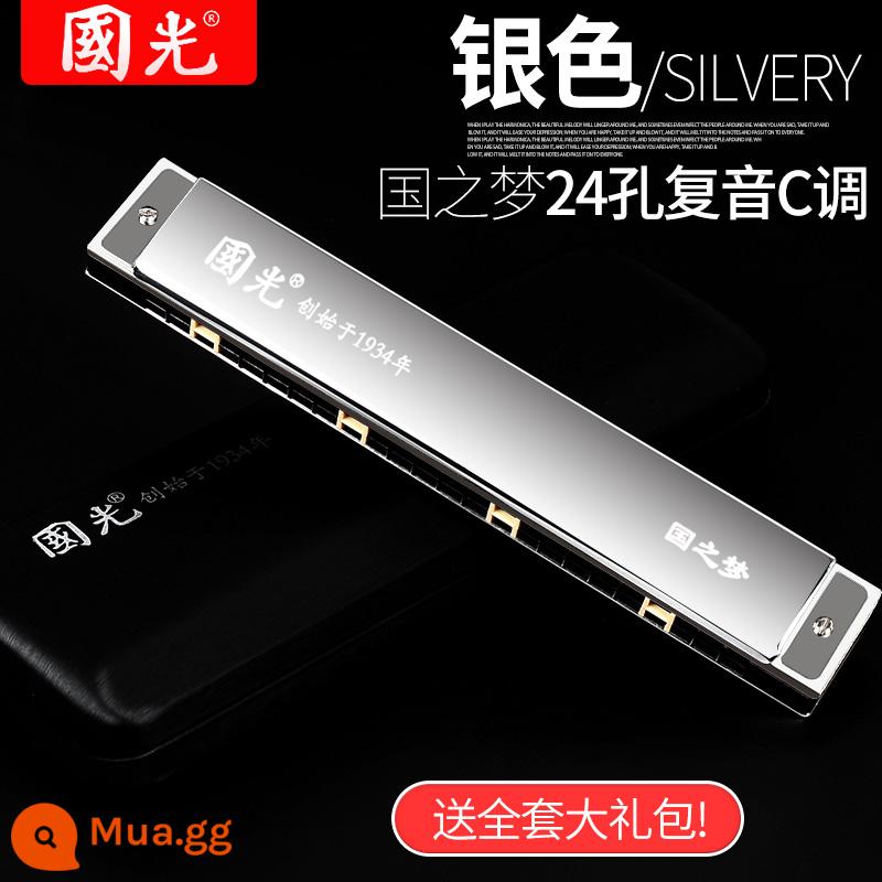 Harmonica Guoguang 24/28 lỗ đa âm giọng c-tuned phạm vi rộng đàn organ cho người mới bắt đầu nhập cảnh sinh viên biểu diễn chuyên nghiệp - Đẳng cấp trình diễn/National Dream Polyphony Streamer Silver 24 lỗ đi kèm trọn bộ quà tặng