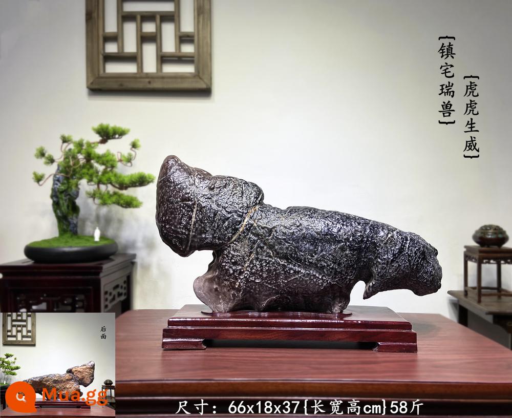 Trang trí đá Lingbi tự nhiên đá thô phòng khách phòng khách Bonsai Taihu Stone Office Xuangan Town House Loc -Water Stone Stone - xanh đậm