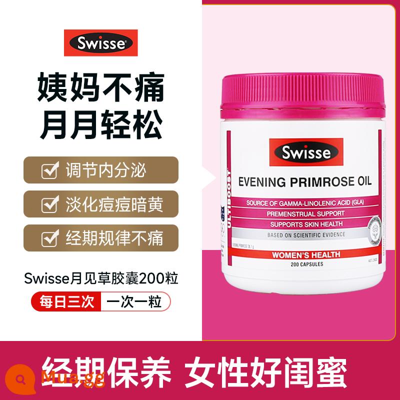 Viên uống lợi khuẩn Swisse Women's lactobacillus nam việt quất điều hòa phụ khoa chăm sóc vùng kín phụ nữ chuyên dụng - [Khó chịu kinh nguyệt, điều hòa nội tiết và loại bỏ mụn trứng cá] Viên nang hoa anh thảo buổi tối 200 viên