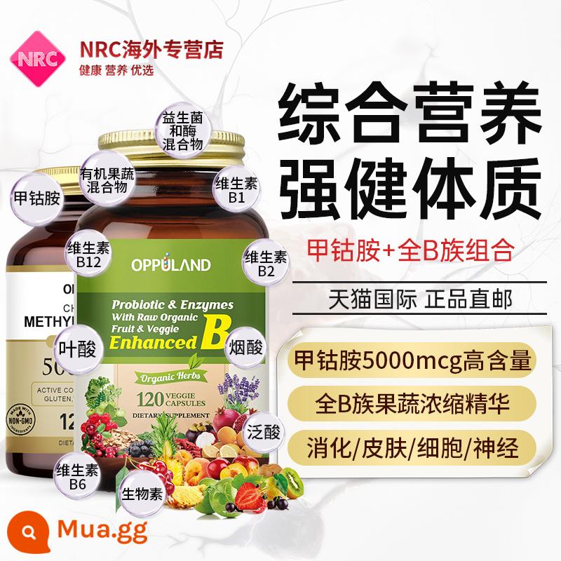 Methylcobalamin vitamin B12 axit folic viên b nhóm Mỹ dinh dưỡng thần kinh đích thực 5000mcg chính thức cửa hàng hàng đầu - Methylcobalamin + vitamin B hoàn chỉnh [dinh dưỡng toàn diện]