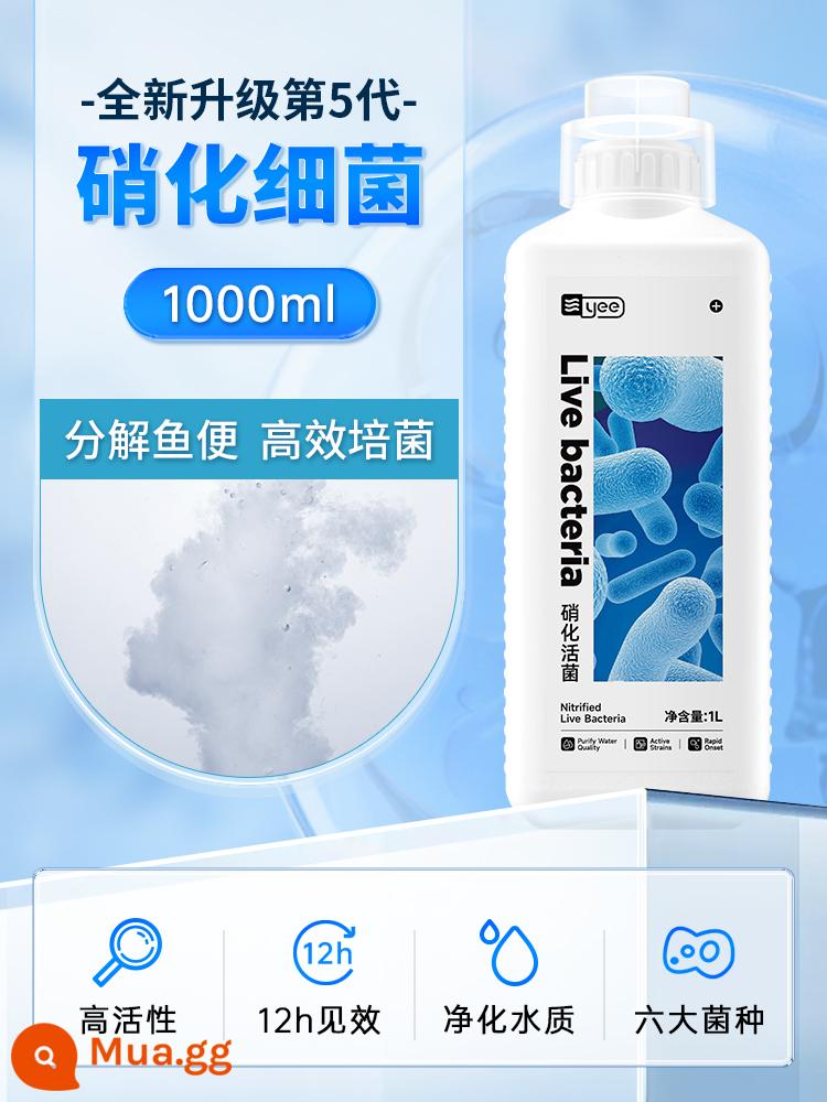 Vi khuẩn nitrat hóa bể cá với chất làm sạch nước nuôi cá chất lượng nước thanh lọc ổn định hồ cá thuốc khử trùng và tiêu hóa vi khuẩn sống cá - [Mặt hàng thứ hai là 0 tệ, chụp ảnh sẽ tặng 2 chai] Vi khuẩn nitrat hóa 1000ml