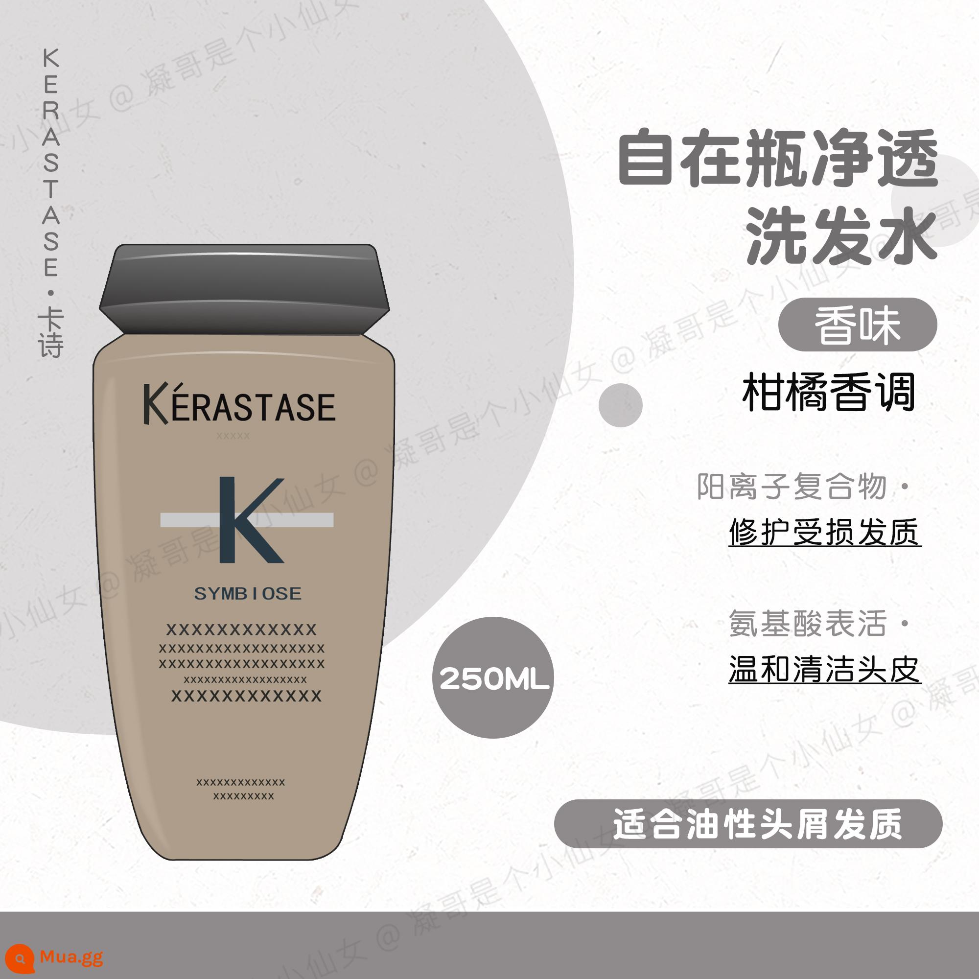 Kerastase Paris Dầu Gội Kerastase Chức Năng Kép/Fuyuan Core Silk Sảng Khoái 500Ml Kiểm Soát Dầu Lông Tơ Tẩy Dầu - Tặng chai dầu gội 250ml