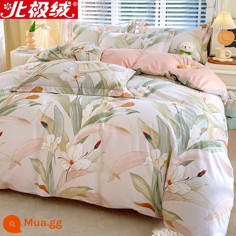 Nhung Bắc Cực Giường Bốn Bộ Cotton Nguyên Chất 100 Tờ Vỏ Chăn 3 Trang Bị Tấm Đơn Giản Chăn Ga Gối Mùa Đông 4 - Aono