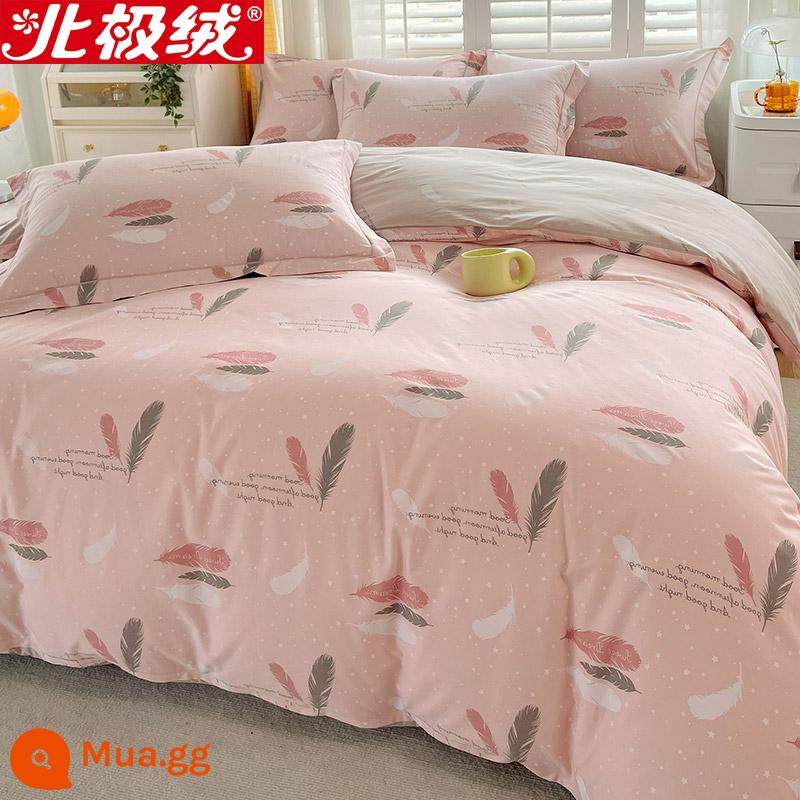 Nhung Bắc Cực Giường Bốn Bộ Cotton Nguyên Chất 100 Tờ Vỏ Chăn 3 Trang Bị Tấm Đơn Giản Chăn Ga Gối Mùa Đông 4 - Luo Yu đang bay