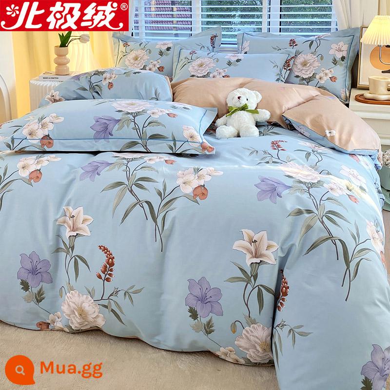 Nhung Bắc Cực Giường Bốn Bộ Cotton Nguyên Chất 100 Tờ Vỏ Chăn 3 Trang Bị Tấm Đơn Giản Chăn Ga Gối Mùa Đông 4 - màu xanh ấm áp