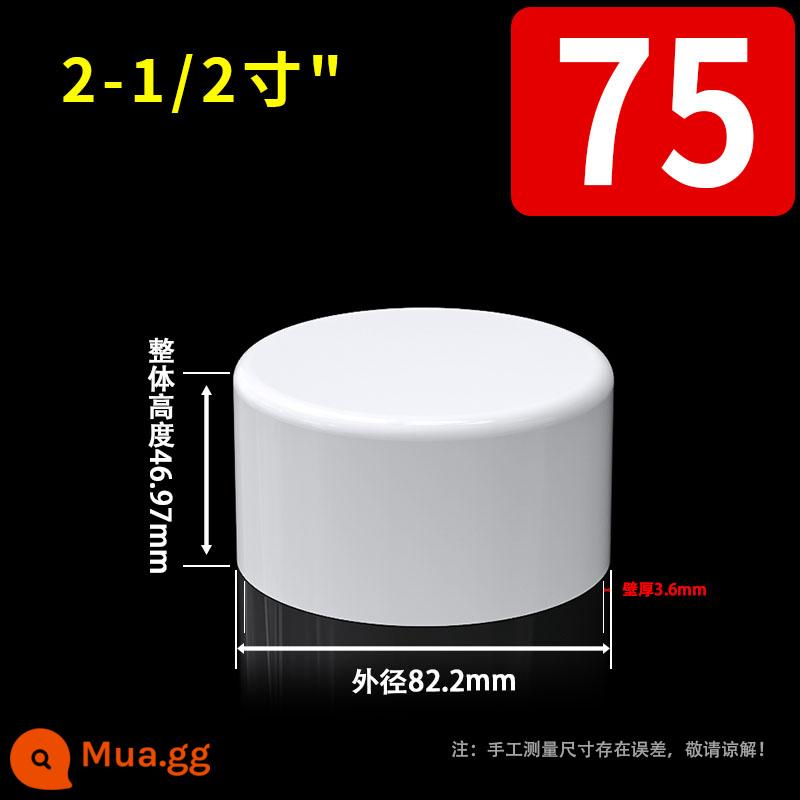 Nắp ống nhựa PVC C nắp chặn ống nước đầu cắm 4 điểm vách ngăn 4 điểm 6 điểm Nắp cắm 1 inch 20 25 32 40mm50 - Đường kính trong 75mm (2,5 inch)