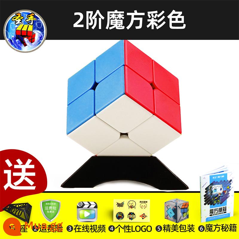 Thánh Tay Khối Lập Phương Rubik Hai Ba Bốn Năm 2453 Cấp Độ Đồ Chơi Giáo Dục Cho Trẻ Em Từ Người Mới Bắt Đầu Đa Dạng Vô Hạn Thi Đấu - Màu khối Rubik cấp 2