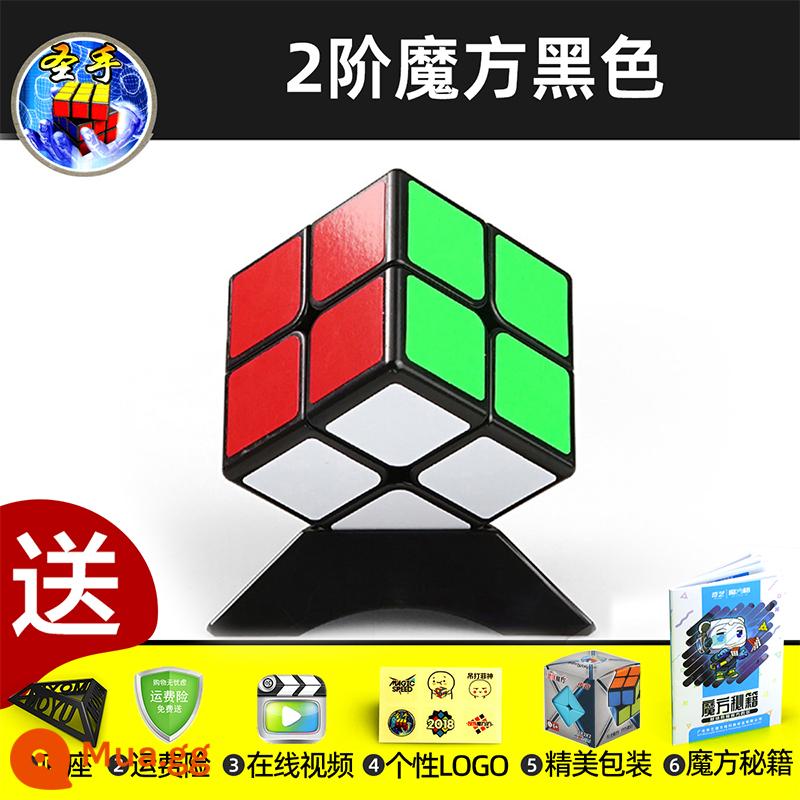 Thánh Tay Khối Lập Phương Rubik Hai Ba Bốn Năm 2453 Cấp Độ Đồ Chơi Giáo Dục Cho Trẻ Em Từ Người Mới Bắt Đầu Đa Dạng Vô Hạn Thi Đấu - Khối Rubik màu đen cấp 2