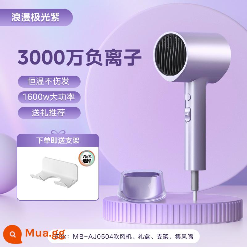 Máy sấy tóc Midea hộ gia đình gió cao ion âm máy sấy tóc khô nhanh ký túc xá sinh viên máy sấy tóc công suất cao - Tử đinh hương [loại đứng]