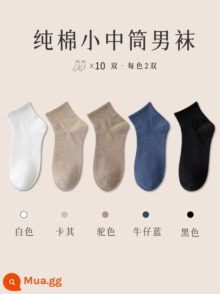 Vớ nam Zhuji trong vớ cotton mùa đông, chất khử mùi, mồ hôi, mồ hôi, vớ đen mùa đông ngắn - [10 đôi] Kết hợp [4] trắng 2 kaki 2 lạc đà 2 xanh denim 2 đen 2