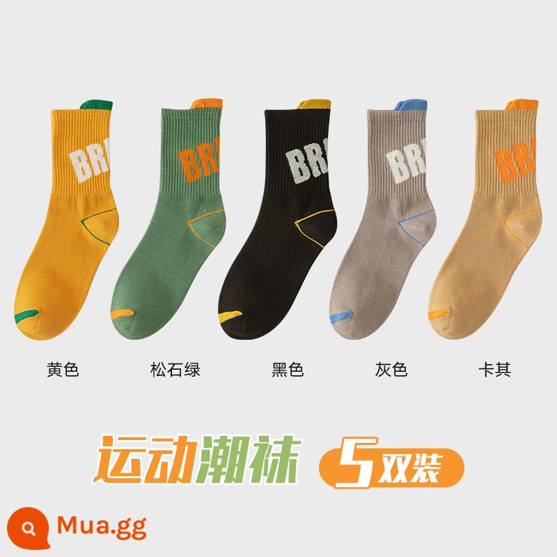 Zhuji Sock Men Mid -winter Mid -work Cotton Pregittered Switters và Sweat Sports Sports Autumn Basketball - 5 đôi [Gói B]