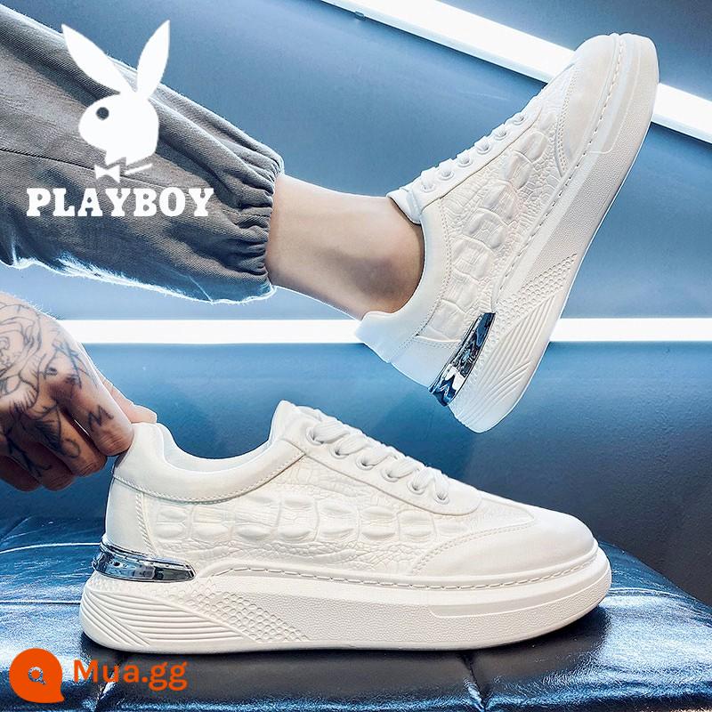 Giày Nam Playboy Mùa Đông 2022 Mới Giày Da Nam Giày Sneaker Da Nam Giày Nhỏ Màu Trắng Giày Hợp Thời Trang Tất Cả - Tiểu WPL621101 màu trắng