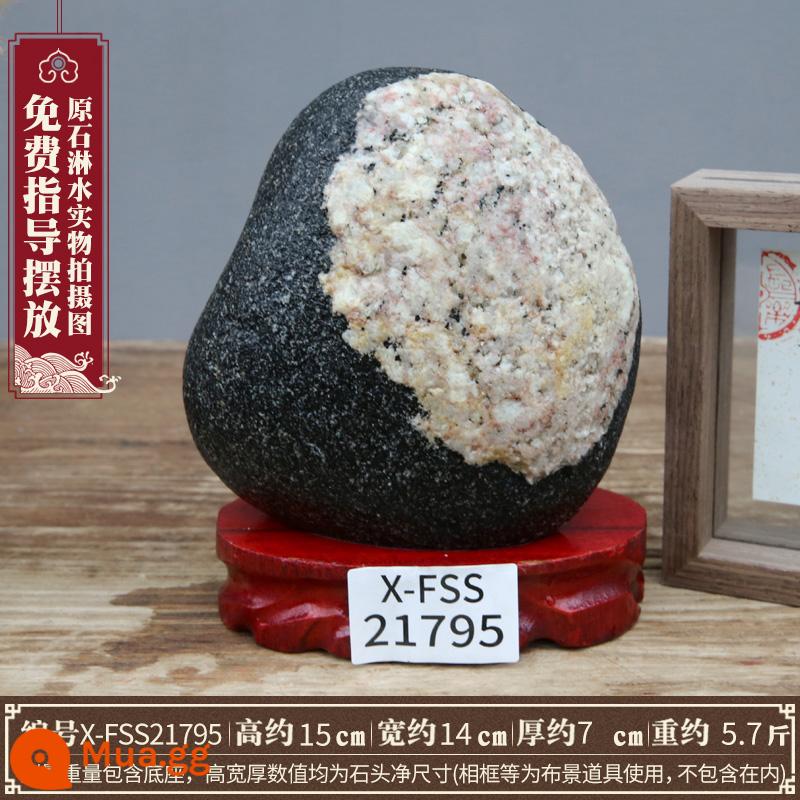 Taishan Stone Gandang nhượng quyền thương mại hàng đầu đích thực trang trí đá gốc trong nhà và ngoài trời khắc đá trang trí văn phòng nhỏ - X-FSS21795