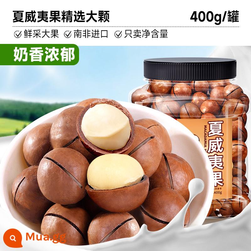 Bibizan Hạt Macadamia 500G Sữa Kem Mới Xuất Hiện Khỏe Mạnh Khi Mang Thai Hạt Khô Cả Hộp Bán Buôn Đồ Ăn Nhẹ - Đóng hộp [chỉ 400g 19,9] Hạt lớn được chọn lọc