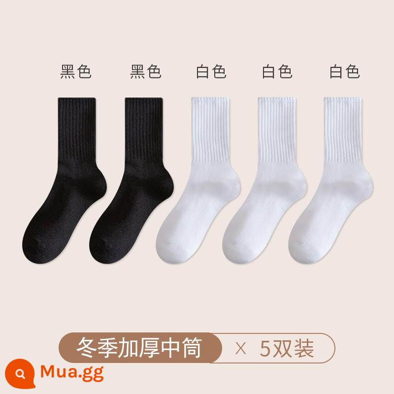 Chu Kỵ Tất Nam Mùa Đông Cổ Cotton Nguyên Chất Cotton Khử Mùi Ống Dài Màu Trắng Thu Đông Cotton Dày Ống Tất - [Terry dày 5 đôi] đen 2 đôi + trắng 3 đôi