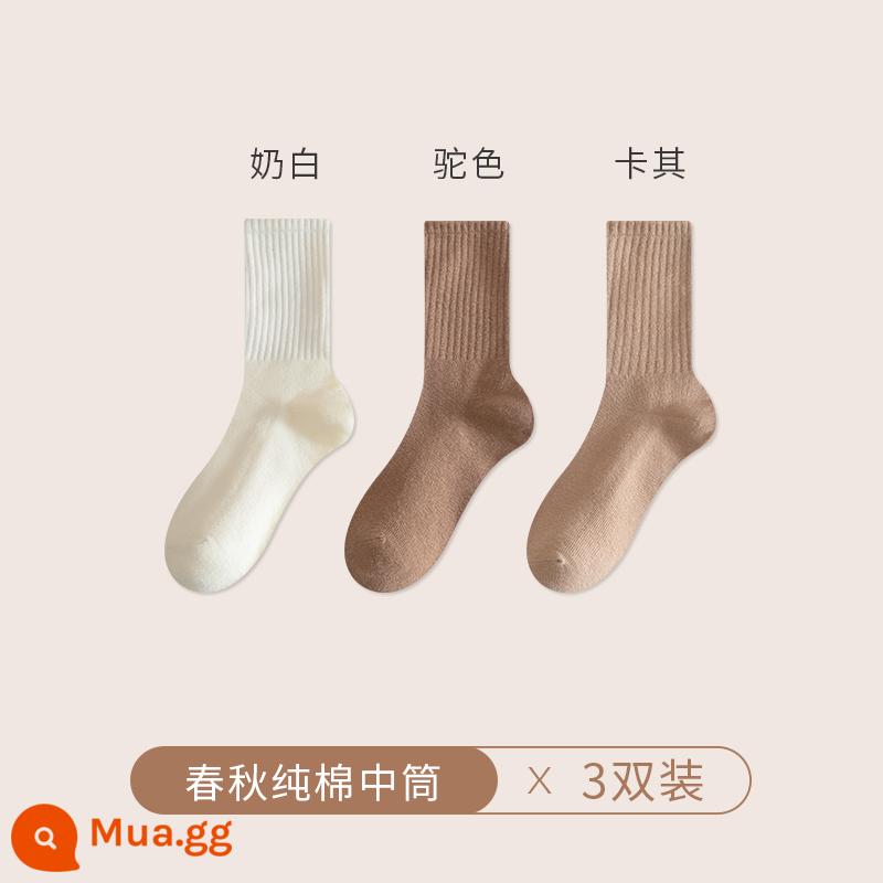 Vớ vào mùa thu và mùa đông tất cả vớ sock vớ nam màu đen và trắng không xương - [3 đôi] trắng sữa + lạc đà + kaki