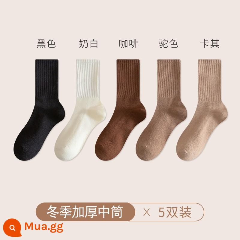 Chu Kỵ Tất Nam Mùa Đông Cổ Cotton Nguyên Chất Cotton Khử Mùi Ống Dài Màu Trắng Thu Đông Cotton Dày Ống Tất - [5 đôi thun dày] đen + trắng sữa + cà phê + lạc đà + kaki