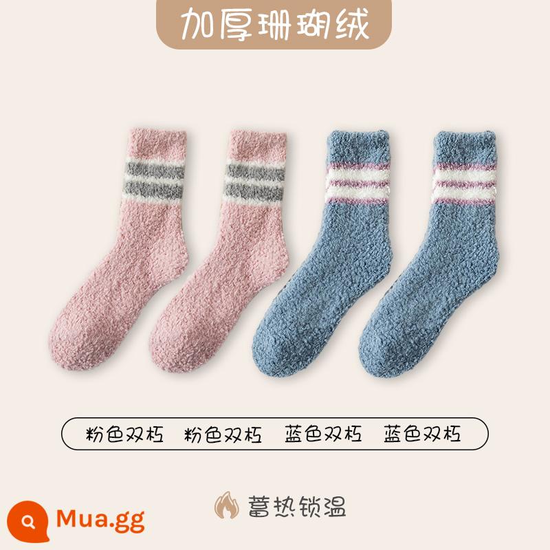 Vớ Velvet Velvet SOCKS GIỚI THIỆU MIGHT MÙA HẤP DẪN VÀ Mùa đông dày nhà dày đặc sàn mùa đông Ngủ Giấy ngủ - [4 đôi] Sự kết hợp 5