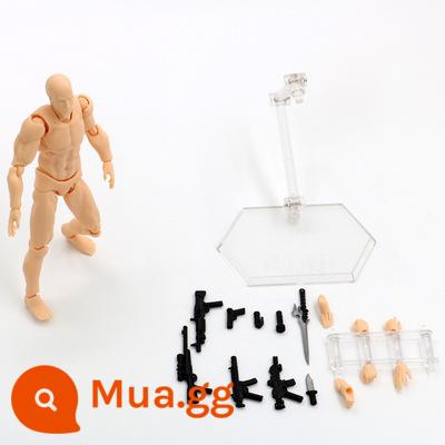 SHF Cơ Thể Cơ Thể Con Người Mô Hình Mô Hình Tranh Nghệ Thuật Tham Khảo Nam Nữ Dụng Cụ Trang Trí Hình Figma Khớp Di Động Búp Bê - Phiên bản cao cấp dành cho da nam 2.0